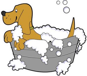 Cartoon dog getting a bath