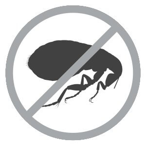 Say no to flea sign