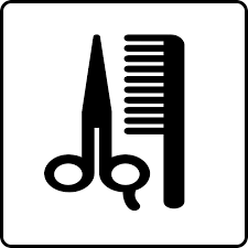 Pet grooming scissors and comb