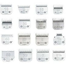 Images of Oster clipper blade sizes